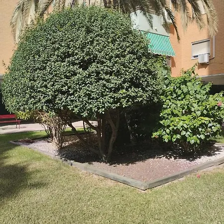 Apartamento Manchini Rosaleda * Alicante